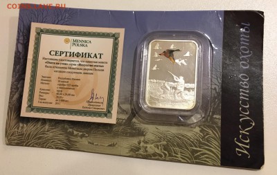 Малави 20 квача 2011 Охота на уток. До 10.11.18 в 22.00 МСК - 3A1F82FB-86EA-40C4-9912-950580D8D8D2