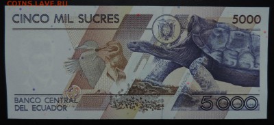 ЭКВАДОР 5000 сукрес 1999г., ДО 08.11. - 5000 сукрес 1999г., В..JPG