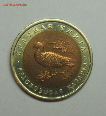 10 рублей Краснозобая казарка - 8-1.JPG
