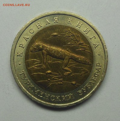 50 рублей Туркменский эублефар - 9-1.JPG