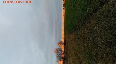 С РУБЛЯ 14 монет 1, 2, 3, 5, 15 к. дореформы до 5 ноября - IMG-f4f54e6fd4fa53a7822e388855d98484-V