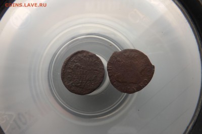 полушка 2шт Сибирь до 08.11.2018 года в 23-00 мск - 1