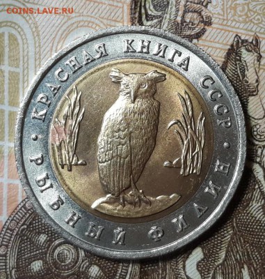 КК 5 руб. 1991 г. "Филин ",  до 12.11.18 г. 22:00 (мск) - 20181104_164119