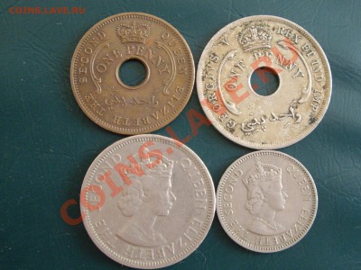 Британские колонии - IMGP3577.JPG
