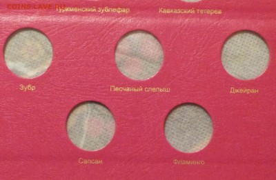 Лист для монет серии Красная книга до 11.11.2018 - P1110820.JPG