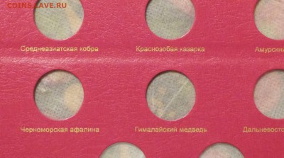 Лист для монет серии Красная книга до 11.11.2018 - P1110819.JPG