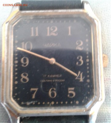 чайка - 20181106_113635