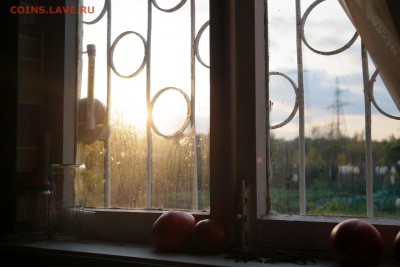 ФОТО - просто фото. Те что получились удачными. - N9A4OyjqnG4