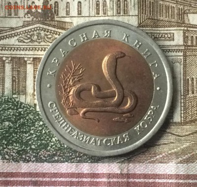 10 рублей 1992г. Красная книга. Кобра  до 09.11.18 - IMG_9027.JPG