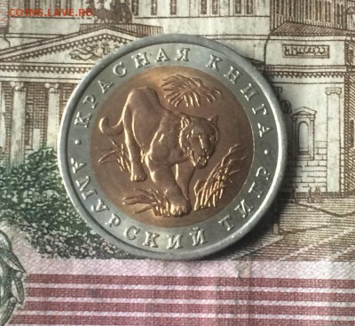 10 рублей 1992г. Красная книга. Тигр до 10.11.18 - IMG_9031.JPG