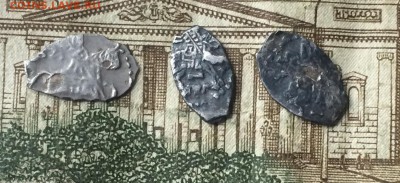 3 чешуйки Перта 1 опознания - IMG_9035.JPG