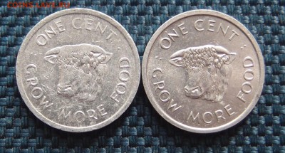 Сейшелы 1 цент 1972г Фикс до 09,11 в 22,00 - PB063397.JPG