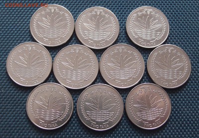 Бангладеш 2 така 2010 Фикс до 09,11 в 22,00 - PB063414.JPG