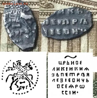 3 чешуйки Перта 1 опознания - IMG_9035.JPG