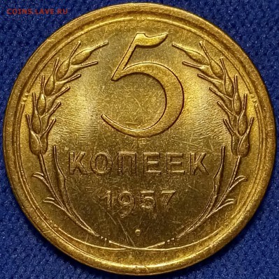 5 копеек, все в UNC - P81103-134528