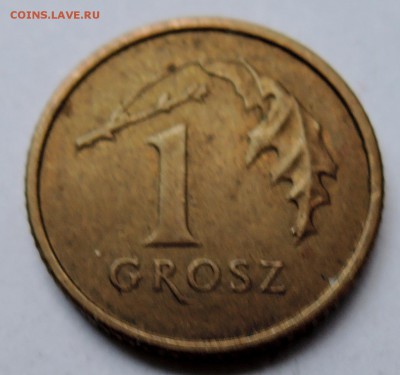 ПОЛЬША - 1 грош 2005 г. до  13.11 в 22.00 - DSCN3019.JPG