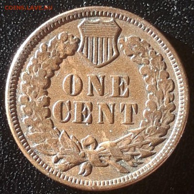 США 1 цент 1884, до 13.11 - лот 8-1