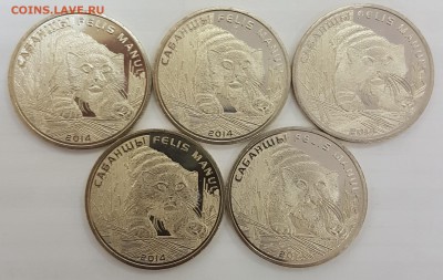 Казахстан 5 монет Манул с 200р до 13.11.2018 в 22.00 - Манул