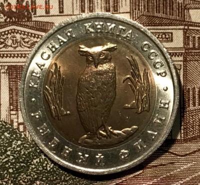 Красная книга ВСЯ, 15 штук. До 14.11.18 в 22.00 (Мск) - fullsizeoutput_5ed