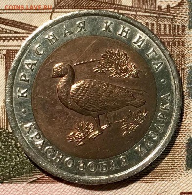 Красная книга ВСЯ, 15 штук. До 14.11.18 в 22.00 (Мск) - fullsizeoutput_5c7