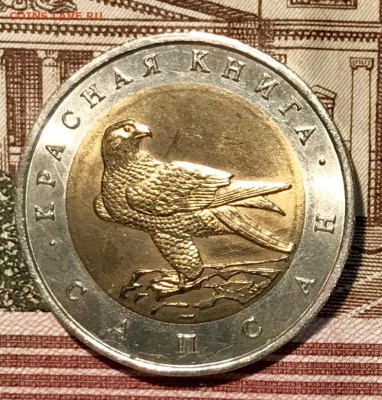 Красная книга ВСЯ, 15 штук. До 14.11.18 в 22.00 (Мск) - fullsizeoutput_5bf