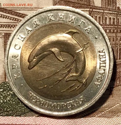 Красная книга ВСЯ, 15 штук. До 14.11.18 в 22.00 (Мск) - fullsizeoutput_5e8