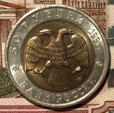 Красная книга ВСЯ, 15 штук. До 14.11.18 в 22.00 (Мск) - fullsizeoutput_5ea