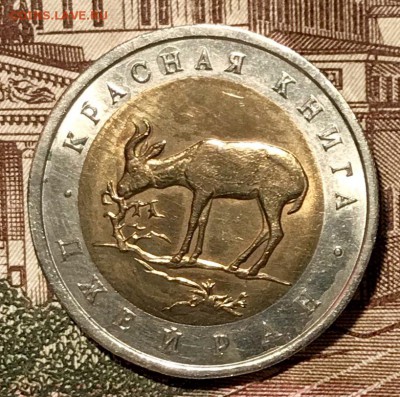 Красная книга ВСЯ, 15 штук. До 14.11.18 в 22.00 (Мск) - fullsizeoutput_5e2