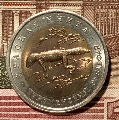 Красная книга ВСЯ, 15 штук. До 14.11.18 в 22.00 (Мск) - fullsizeoutput_5db