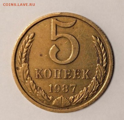 5 копеек 1987 г. с расхождениями в нормативном весе - IMG_20181108_152750