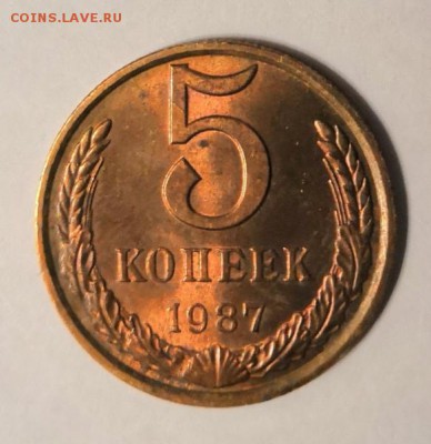 5 копеек 1987 г. с расхождениями в нормативном весе - IMG_20181108_153409