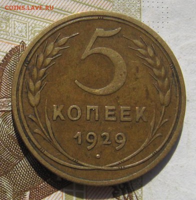 5 копеек 1929, до 13.11.18 в 22.20 мск - IMG_2284.JPG