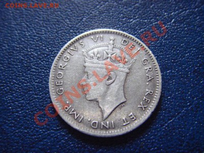 спрос - LPIC5657.JPG