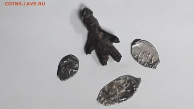 Лот находок : античный человечек + чешуя до 15.11.18. - 20181109_094218