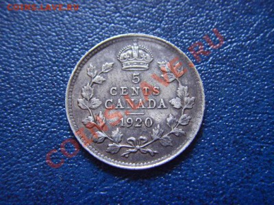 спрос - LPIC5651.JPG