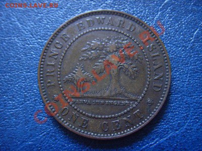спрос - LPIC5642.JPG