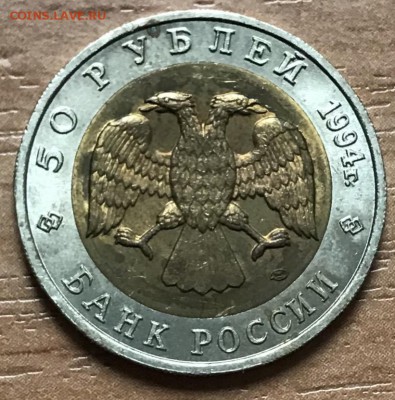 КК 1994 Песчаный слепыш до 13.11 - 00FB01FD-6426-4E59-B1FB-FE224DF528F0