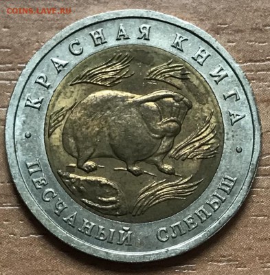 КК 1994 Песчаный слепыш до 13.11 - 97872318-CE2E-4C6D-812E-30AB28947978
