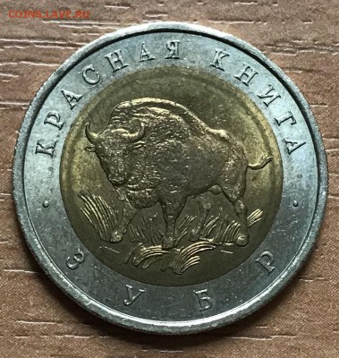 КК 1994 Зубр до 13.11 - 7E319174-37C0-44C5-ADC6-86D4AF47F6AD