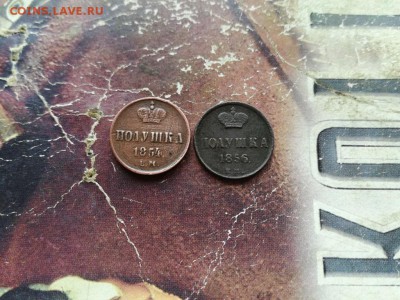 2 полушки 1854, 1856 ЕМ до 13.11.2017 - 2полушки - копия