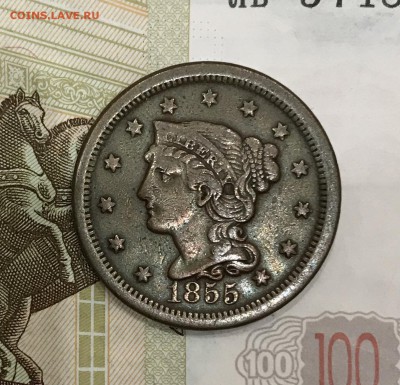 Две монеты 1 цент США, 1855 и 1900 гг. - 7C6B816E-A34A-432E-8B1E-E6CC4A167096