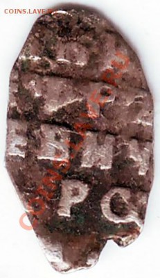 1 чешуйка определить - IMAGE0283.JPG