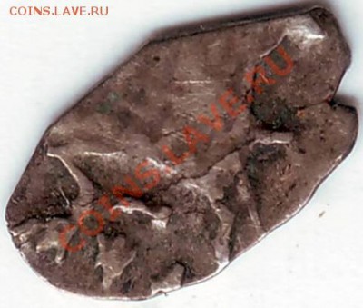 1 чешуйка определить - IMAGE0282.JPG