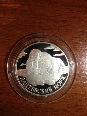 1 руб. Лаптевский морж 1998г. до 15.11 - jW1NlkxOTdg