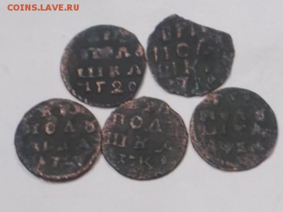 монеты петра 1 врп 1718-1722гг(20шт) - DSCN0495[1].JPG