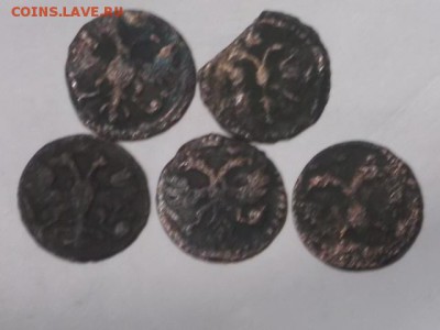 монеты петра 1 врп 1718-1722гг(20шт) - DSCN0504[1].JPG