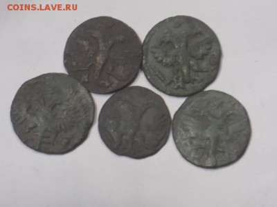 монеты петра 1 врп 1718-1722гг(20шт) - DSCN0524[1].JPG