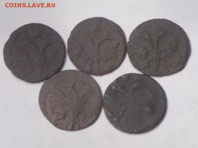 монеты петра 1 врп 1718-1722гг(20шт) - DSCN0534[1].JPG