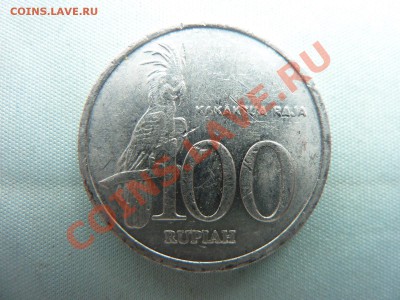 ИНДОНЕЗИЯ 100 рупий ПОПУГАЙ до 28.05.11 в 22-00 - MEMO0006.JPG
