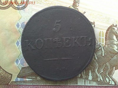 5 копеек 1831 СМ до 15.11.2018 в 22.00 по Москве - 20181112_141657(1)